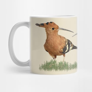 Hoopoe a bird in Kenya / Africa Mug